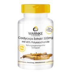 Viên uống Đông Trùng Hạ Thảo Warnke Cordyceps Extrakt 500mg - Bồi bổ sức khỏe, tăng cường miễn dịch, 120 viên