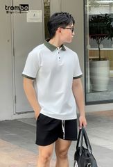 Áo Polo Nam TROMBE GREENERY Cổ Gân Phối Màu - Vải Pique Mềm Mại, Form Đẹp Tay Raglan Phong Cách Hiện Đại, Lịch Lãm Mặc Đi Làm, Đi Chơi