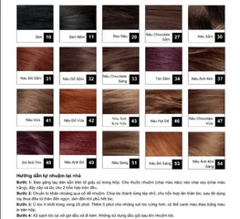 Nhuộm tóc Revlon Colorsilk beautiful color no.41