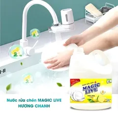 Nước Rửa Chén Magic Live Hương Chanh 800g - Làm Sạch Bát Đĩa Hiệu Quả, Khử Mùi Tanh, Dịu Nhẹ Với Da Tay - Sản Phẩm Gốc Việt Nam