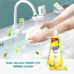 Nước Rửa Chén Magic Live Hương Chanh 800g - Làm Sạch Bát Đĩa Hiệu Quả, Khử Mùi Tanh, Dịu Nhẹ Với Da Tay - Sản Phẩm Gốc Việt Nam