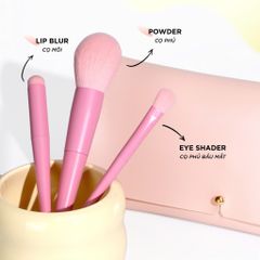Bộ cọ trang điểm VACOSI 10 cây kèm ví hồng BC34 - Nana Shop