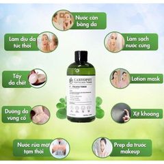 Nước Hoa Hồng Caryophy Portulaca Toner 300ML - Ngừa Mụn, Kiềm Dầu, Giảm Thâm, Dưỡng Ẩm Cho Da Nhạy Cảm, Sản Phẩm Từ Thiên Nhiên