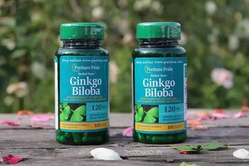 Viên uống Bổ Não Ginkgo Biloba 120 Mg 100 Viên