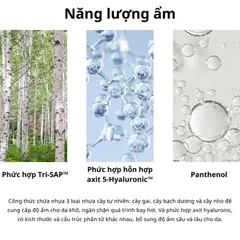 Kem Dưỡng Ẩm Thuần Chay BEYOND Angel Aqua 150ml - Cấp Nước, Dưỡng Ẩm Chuyên Sâu Cho Làn Da Rạng Rỡ