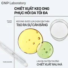 CNP Tinh Chất Keo Ong Propolis Energy Active Ampule - Kháng Khuẩn, Phục Hồi Da, Nuôi Dưỡng Da Tối Ưu