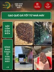 Gạo Nếp Cẩm Điện Biên 10kg - Đặc Sản Thơm Dẻo, Giàu Dinh Dưỡng, Thích Hợp Nấu Xôi và Bánh Ngọt