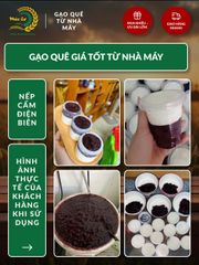 Gạo Nếp Cẩm Điện Biên 10kg - Đặc Sản Thơm Dẻo, Giàu Dinh Dưỡng, Thích Hợp Nấu Xôi và Bánh Ngọt