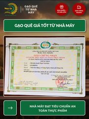 Gạo Nếp Cẩm Điện Biên 10kg - Đặc Sản Thơm Dẻo, Giàu Dinh Dưỡng, Thích Hợp Nấu Xôi và Bánh Ngọt