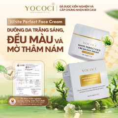 Kem Dưỡng Trắng Da Mặt Ngày & Đêm YOCOCI Perfect Face Cream 20g – Dưỡng Ẩm, Mờ Thâm Nám, Chống Oxy Hóa, Phục Hồi Da