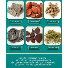 Cao Ngải Cứu Dán Giảm Đau Khớp, Cổ Vai Gáy - Hỗ Trợ Điều Trị Đau Đầu, Thể Thao, Chấn Thương, 20 Lá