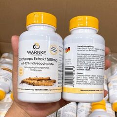 Đông trùng hạ thảo Warnke Cordyceps Extrakt 500mg Đức 120 viên