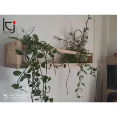 Kệ Treo Tường Chữ U Gỗ Thông 60x15x10cm - Kệ Đựng Gia Vị, Sách, Trang Trí Cho Không Gian Nhỏ Gọn, Xinh Xắn