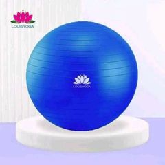 Bóng Tập Gym Có Gai 65cm (1000g) - Bóng Tập Thể Dục, Yoga và Fitness Chất Lượng Cao LOUIS YOGA