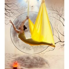 Võng Tập Yoga Bay Lụa Cao Cấp - Siêu Mượt, Chịu Lực 900kg, Bộ Phụ Kiện Đầy Đủ, Kích Thước 5m x 2.8m, Thiết Kế An Toàn