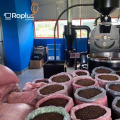 Cà Phê Arabica Cầu Đất Nguyên Chất Rang Mộc - Pha Phin & Máy Cold Brew, Hương Vị Tươi Sáng, 100% Tự Nhiên, Quà Tặng Tuyệt Vời