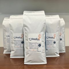 Cà Phê Arabica Cầu Đất Nguyên Chất Rang Mộc 5KG - Pha Phin và Pha Máy Cold Brew, Thưởng Thức Hương Vị Tự Nhiên