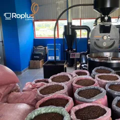 Cà phê Arabica Cầu Đất Nguyên Chất Rang Mộc 3 KG - Pha Phin & Pha Máy Cold Brew, Hương Vị Tươi Nguyên Bản, Không Phụ Gia