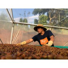 Cà phê Arabica Phin Sữa Roplus - Hạt Nguyên Chất Thơm Ngon, Phù Hợp Pha Phin, Pha Máy, Cold Brew, Hương Vị Đậm Đà, Chất Lượng Cao