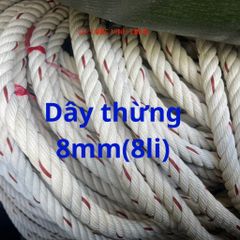 Dây Thừng PP PE 8mm Bền Chắc - Dây Neo Xây Dựng, Dây An Toàn và Trang Trí - Chất Liệu HDPE Cao Cấp 10 Mét