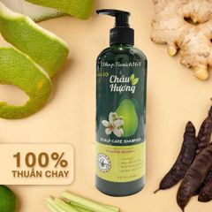 Dầu Xả Hương Gừng 300ml Châu Hương - Phục Hồi Hư Tổn, Ngừa Gãy Rụng, Dưỡng Tóc Chắc Khỏe và Mềm Mượt
