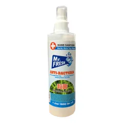 Chai Xịt Rửa Tay Khô Diệt Khuẩn Mr. Fresh 250ml - Kháng Khuẩn Hiệu Quả, Dưỡng Ẩm, Tiện Dụng Cho Mọi Gia Đình