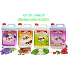 Nước Lau Sàn Diệt Khuẩn HANDO 5L Hương Quế - Sạch Sáng, Khử Mùi, Giúp Nhà Cửa Thoáng Mát, Phù Hợp Nhiều Bề Mặt