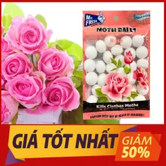 Túi Long Não Thơm 120g - Khử Mùi Hôi, Đuổi Gián Hiệu Quả Hương Chanh, Lavender, Hồng, Vani - Sản Phẩm An Toàn Cho Không Gian Sống Sạch sẽ