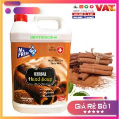 Nước Rửa Tay Khử Mùi Premium Hand Soap Mr Fresh 5L - Hương Quế, Làm Sạch, Kháng Khuẩn, Dưỡng Ẩm Cho Da Mềm Mại