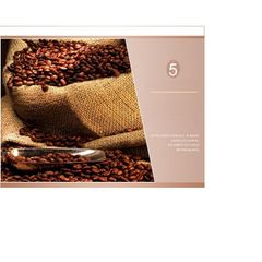 Hộp Thơm Ô Tô Hương Café WINE Korea 35ml AW-A02 - Khử Mùi & Làm Thơm Không Gian Sang Trọng, An Toàn Cho Sức Khỏe