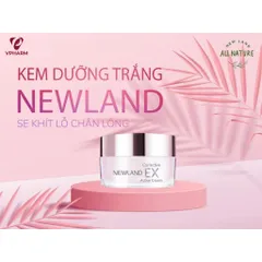 Kem Dưỡng Trắng Da Newland Corrective Ex Active Cream - Hỗ Trợ Dưỡng Trắng, Xóa Mờ Nếp Nhăn, Tươi Mát, Chăm Sóc Da Mặt Hàn Quốc 50g