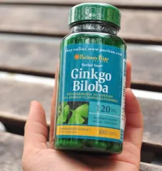 Viên uống Bổ Não Ginkgo Biloba 120 Mg 100 Viên