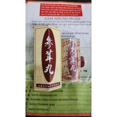 Tăng Cân Seng Yong Wan - Sâm Nhung Hoàn Hỗ Trợ Tăng Cân Hiệu Quả, Cải Thiện Chức Năng Tiêu Hóa, 20 Viên