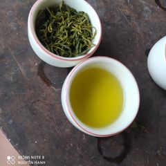 Trà Xanh Móc Câu Thượng Hạng DTT - Hương Cốm Đậm, Vị Ngọt Sâu, Cánh Đẹp - Thức Uống Đặc Sản (300K/kg)
