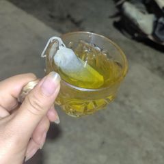 DTT Trà Tấm Túi Lọc 500g - Trà Xanh Thái Nguyên Thơm Ngon Tiện Dụng, Pha Nhanh, Cho Gia Đình và Văn Phòng