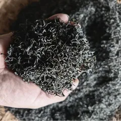 Trà Xanh Nõn Tôm DTT - Hương Thơm Ngọt, Vị Đậm, Đặc Sản Thượng Hạng, Phù Hợp Uống Hằng Ngày (350K/kg)