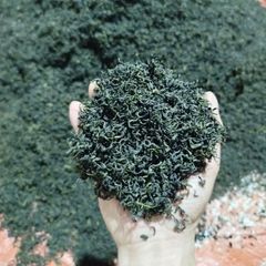 DTT Trà Xanh Móc Câu Ngon Chuẩn Vị - Đậm Đà, Tự Nhiên 250k/kg - Hương Vị Tuyệt Hảo, Không Hương Liệu, Thích Hợp Ngày Hè
