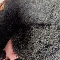 Trà Long Vân Nõn Tôm Thái Nguyên - Hương Cốm Tự Nhiên Đặc Trưng - Gói 100g, 200g, 500g - Thưởng Thức Vị Ngọt Dễ Chịu