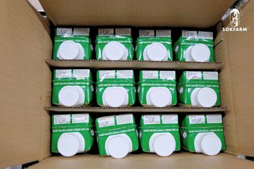 Thùng 12 Hộp Mật Hoa Dừa Tươi Organic Sokfarm 330ml - Đồ Uống Giải Khát Tự Nhiên, Bổ Sung Khoáng Chất Và Năng Lượng