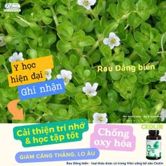 Viên Uống Hỗ Trợ Hoạt Huyết Dưỡng Não CKOLIN Pháp - Tăng Cường Trí Nhớ & Giảm Mất Ngủ - Sản Phẩm Chính Hãng KenPharma