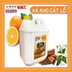Nước Rửa Tay Sát Khuẩn Premium Hand Soap Mr Fresh Hương Cam Quế - Can 5L, Diệt Khuẩn, Làm Sạch Da Mềm Mại