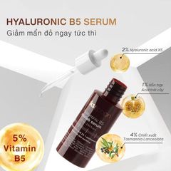 Tinh Chất Ekseption Hyaluronic ZnPCA Giảm Mụn & B5 Mixlab 75ML - Serum Phục Hồi Da Nhạy Cảm, Chống Viêm, Cung Cấp Độ Ẩm Tối Ưu