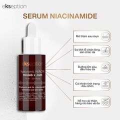 Tinh Chất Ekseption Hyaluronic ZnPCA Giảm Mụn & B5 Mixlab 75ML - Serum Phục Hồi Da Nhạy Cảm, Chống Viêm, Cung Cấp Độ Ẩm Tối Ưu