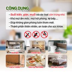Chai Xịt Đuổi Kiến The Loco 280ml - Giải Pháp Đuổi Côn Trùng Tự Nhiên An Toàn, Đuổi Kiến, Gián, Muỗi Hiệu Quả