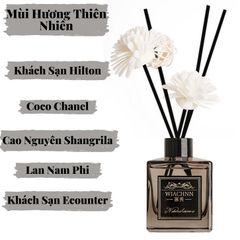 Tinh Dầu Thơm Tự Nhiên 50ml W.IACHNN - Nước Hoa Cao Cấp Khuếch Tán Gỗ, Khử Mùi, Tạo Không Gian Thoải Mái
