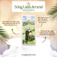 Car perfume HIGH QUALITY PRODUCTS Decorative hanging essential oil bottle for cars to deodorize and purify the air