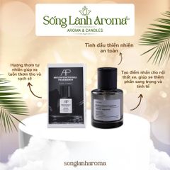 Car perfume PREMIUM PRODUCTS Long-lasting essential oil with light fragrance to deodorize the air 160ml