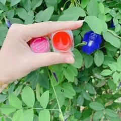 Kem Dưỡng Môi Collagen Hồng Tự Nhiên - Xóa Thâm, Giúp Môi Luôn Hồng Hào, Mềm Mịn, Chống Nắng, Duy Trì Làn Môi Khỏe Mạnh