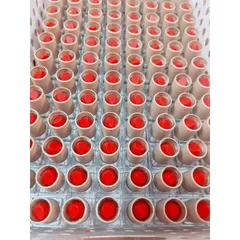 Thỏi Son Dưỡng Collagen Đỏ Cam - Dưỡng Môi Sau Phun Xăm, Giảm Khô Nứt Nẻ, Tăng Cường Độ Ẩm, Căng Mọng Môi