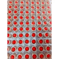 Thỏi Son Dưỡng Collagen Đỏ Cam - Dưỡng Môi Sau Phun Xăm, Giảm Khô Nứt Nẻ, Tăng Cường Độ Ẩm, Căng Mọng Môi